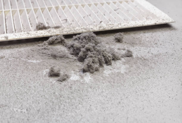 Best Emergency Air Duct Cleaning  in Cumberland Head, NY