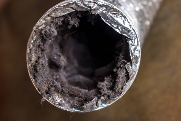 Best Air Duct Cleaning Near Me  in Cumberland Head, NY